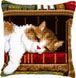 PN-0146409 Набір для вишивання хрестом (подушка) Vervaco Cat sleeping on bookshelf "Кіт, що спить на книжковій полиці" 1066465 фото 1
