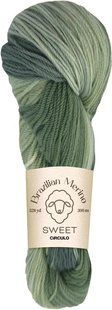 9019 BRAZILIAN MERINO SWEET пряжа (100% меринос .100г .300 м ), різнокольоровий 1078185 фото