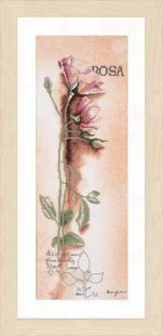 PN-0008050 Набір для вишивки хрестом LanArte Rosa - Botanical "Роза" 1066516 фото