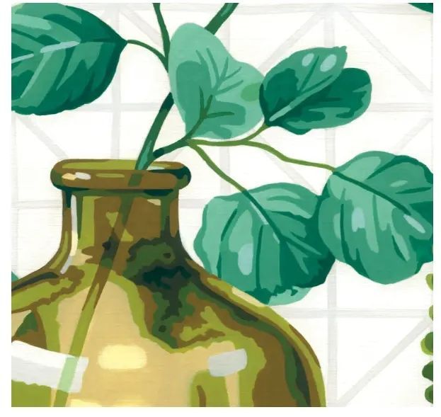73-91856 Набір для малювання фарбами за номерами Dimensions Plants in jars Рослини в склянках 1077746 фото