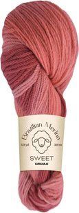 9015 BRAZILIAN MERINO SWEET пряжа (100% меринос .100г .300 м ), різнокольоровий 1078183 фото