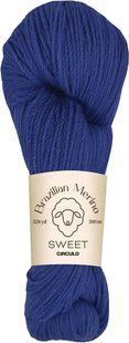 2829 BRAZILIAN MERINO SWEET пряжа (100% меринос .100г .300 м ), синій 1078172 фото