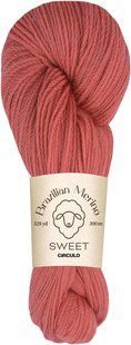 3022 BRAZILIAN MERINO SWEET пряжа (100% меринос .100г .300 м ), імбир 1078173 фото