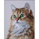 PN-0203542 Набір для вишивки хрестом LanArte The purrfect stare Чистий погляд 1077855 фото 1