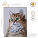 PN-0203542 Набір для вишивки хрестом LanArte The purrfect stare Чистий погляд 1077855 фото 2
