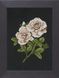 PN-0008337 Набір для вишивки хрестом LanArte Roses on black "Троянди на чорному" " 1071265 фото