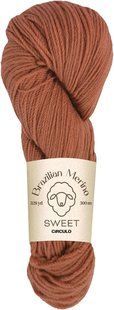 4095 BRAZILIAN MERINO SWEET пряжа(100% меринос .100г .300 м ), коричневий 1078175 фото