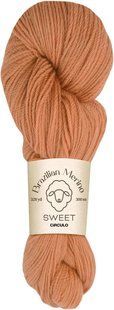 4283 BRAZILIAN MERINO SWEET пряжа (100% меринос .100г .300 м ), імбир 1078176 фото