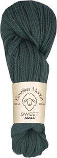 5007 BRAZILIAN MERINO SWEET пряжа (100% меринос .100г .300 м ), зелений 1078177 фото