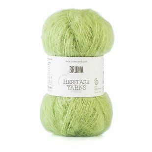 06 Bruma пряжа (60% кід мохер 40% вовна), колір зелений 50 г моток ROSARIOS 1082406 фото