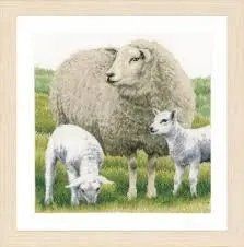 PN-0171528 Набір для вишивки хрестом LanArte Sheep "Вівця" 1064871 фото