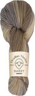 9020 BRAZILIAN MERINO SWEET пряжа (100% меринос .100г .300 м ), різнокольоровий 1078186 фото